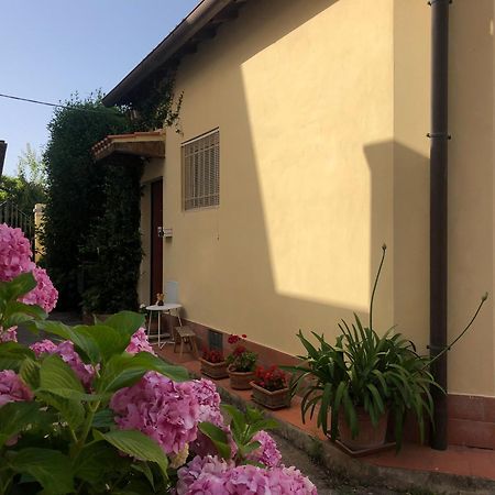 Casina Di Nina Apartment Ливорно Екстериор снимка
